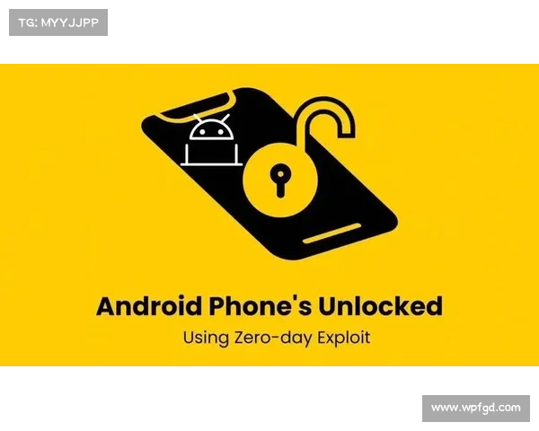 针对谷歌产品的近50零日漏洞背后的间谍软件 媒体